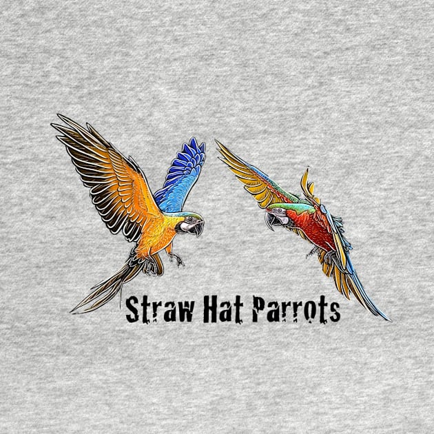 Straw Hat Parrots Luffy and Zoro: Color by Straw Hat Parrots